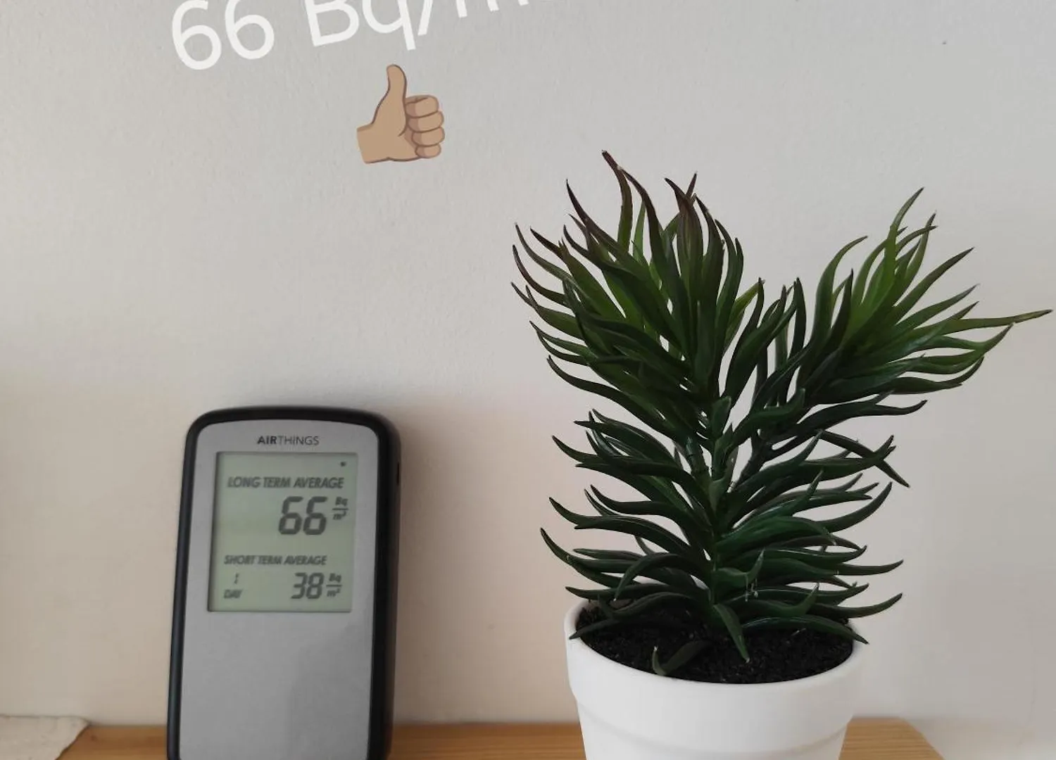 Roomserv Laibach Privatunterkunft